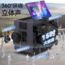 山水（SANSUI）ktv音响套装广场舞音响PE158