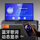 山水（SANSUI）ktv音响套装广场舞音响PE158
