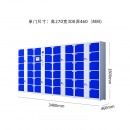 保密柜 虎牌/Tiger 3132-CBG 48门 电子存包柜智能寄存柜密码柜