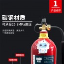 灭火器 海天消防 MT/3 3KG手提式二氧化碳灭火器